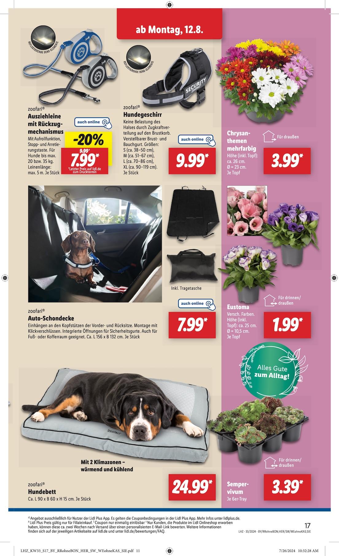 Lidl Exklusive Vorschau Seite 9