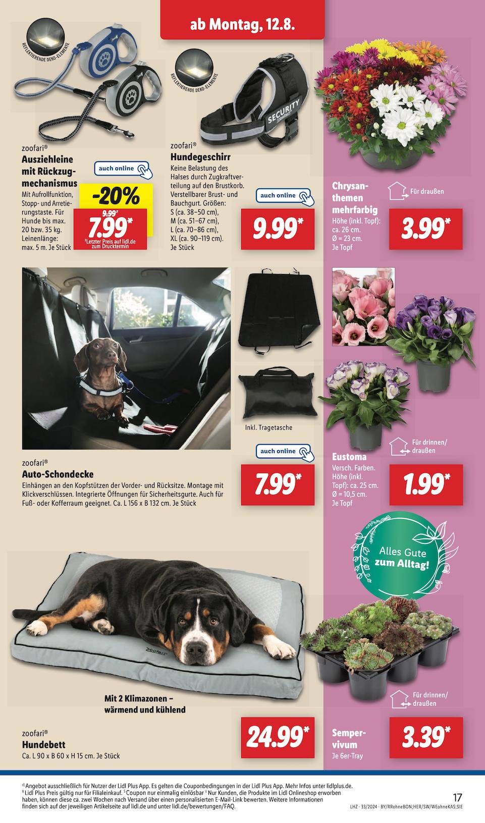 Lidl Aktueller Prospekt ab Montag Seite 23