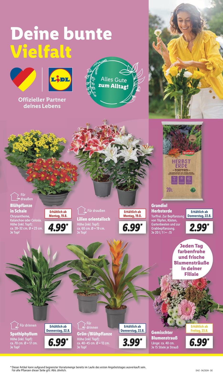 Lidl Aktueller Prospekt ab Montag Seite 5