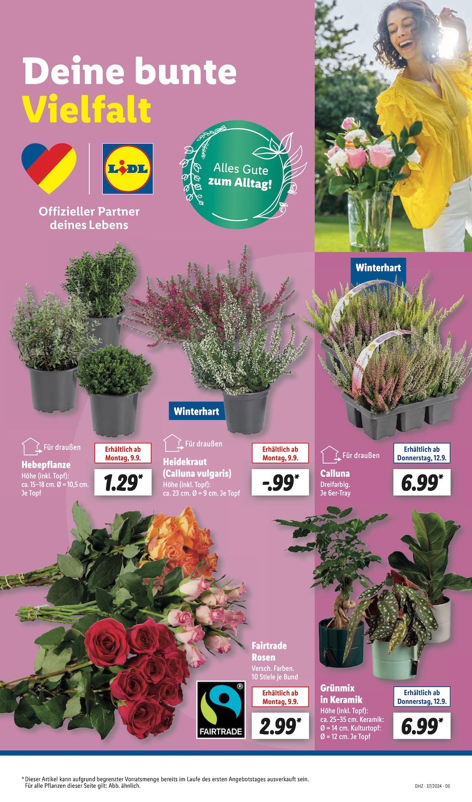 Lidl Aktueller Prospekt ab Montag Seite 55