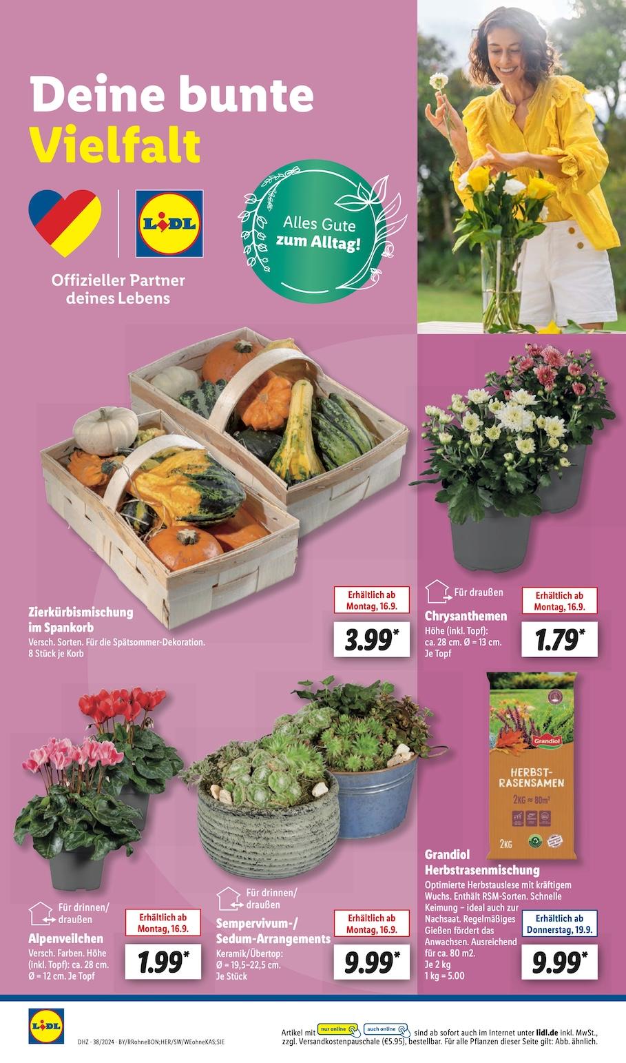 Lidl Aktueller Prospekt ab Montag Seite 16