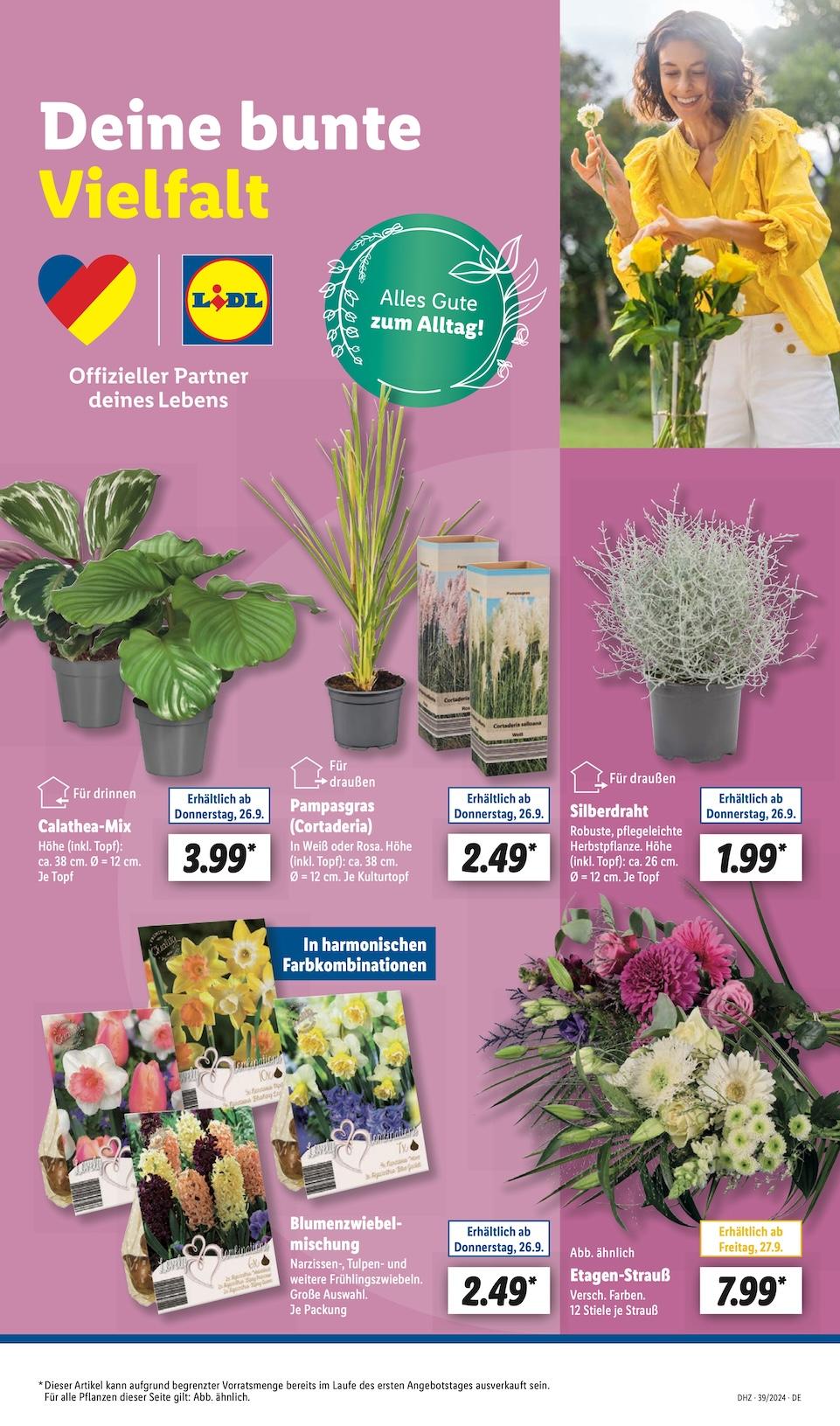 Lidl Aktueller Prospekt ab Montag Seite 7