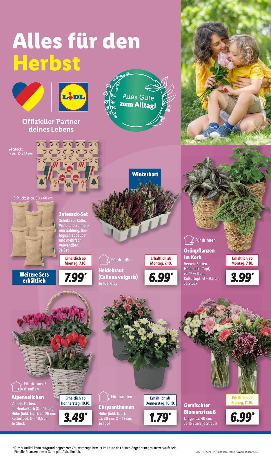 Lidl Aktueller Prospekt ab Montag Seite 21