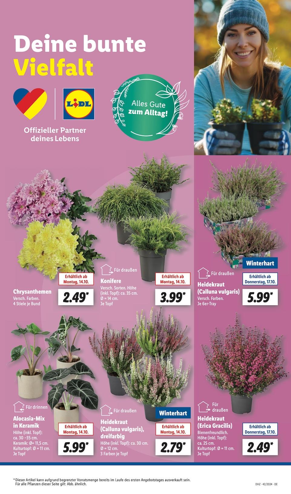 Lidl Aktueller Prospekt ab Montag Seite 7