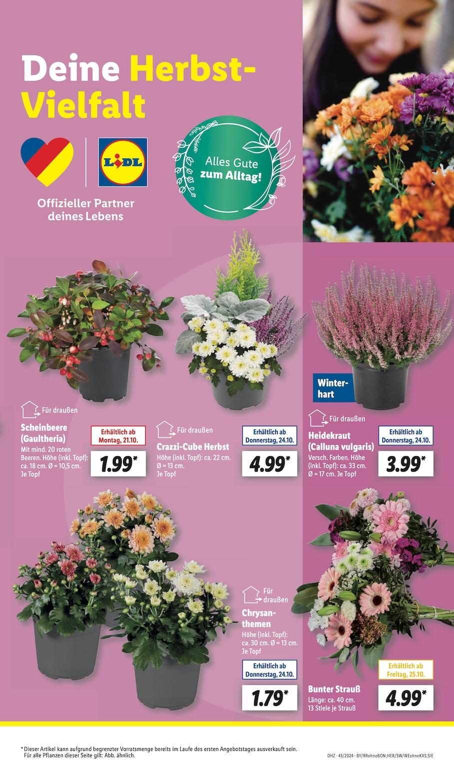 Lidl Aktueller Prospekt ab Montag Seite 13