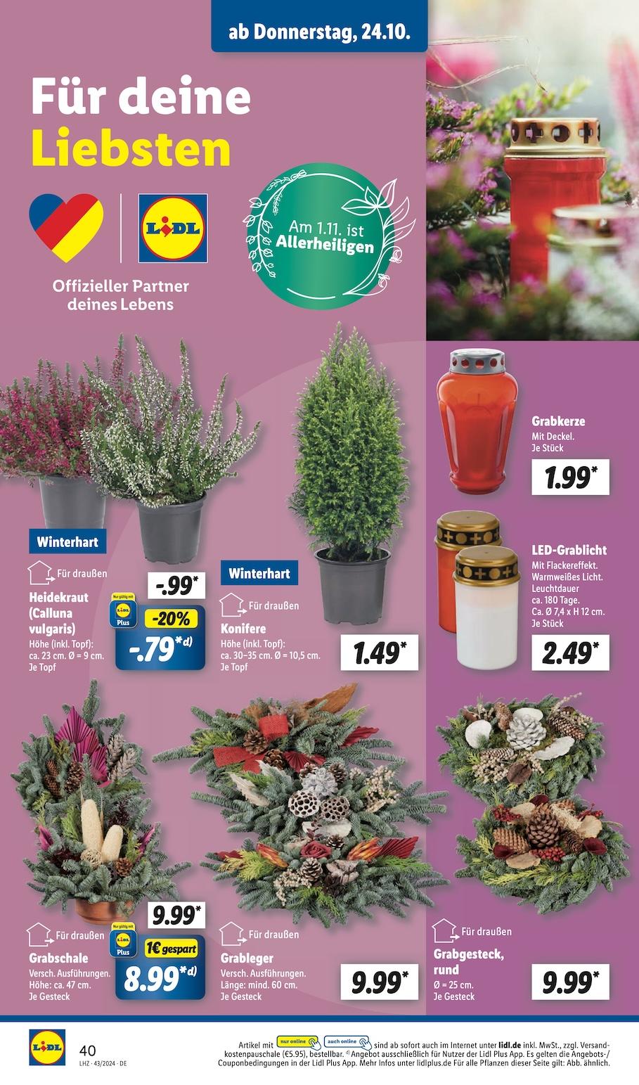 Lidl Aktueller Prospekt ab Montag Seite 52