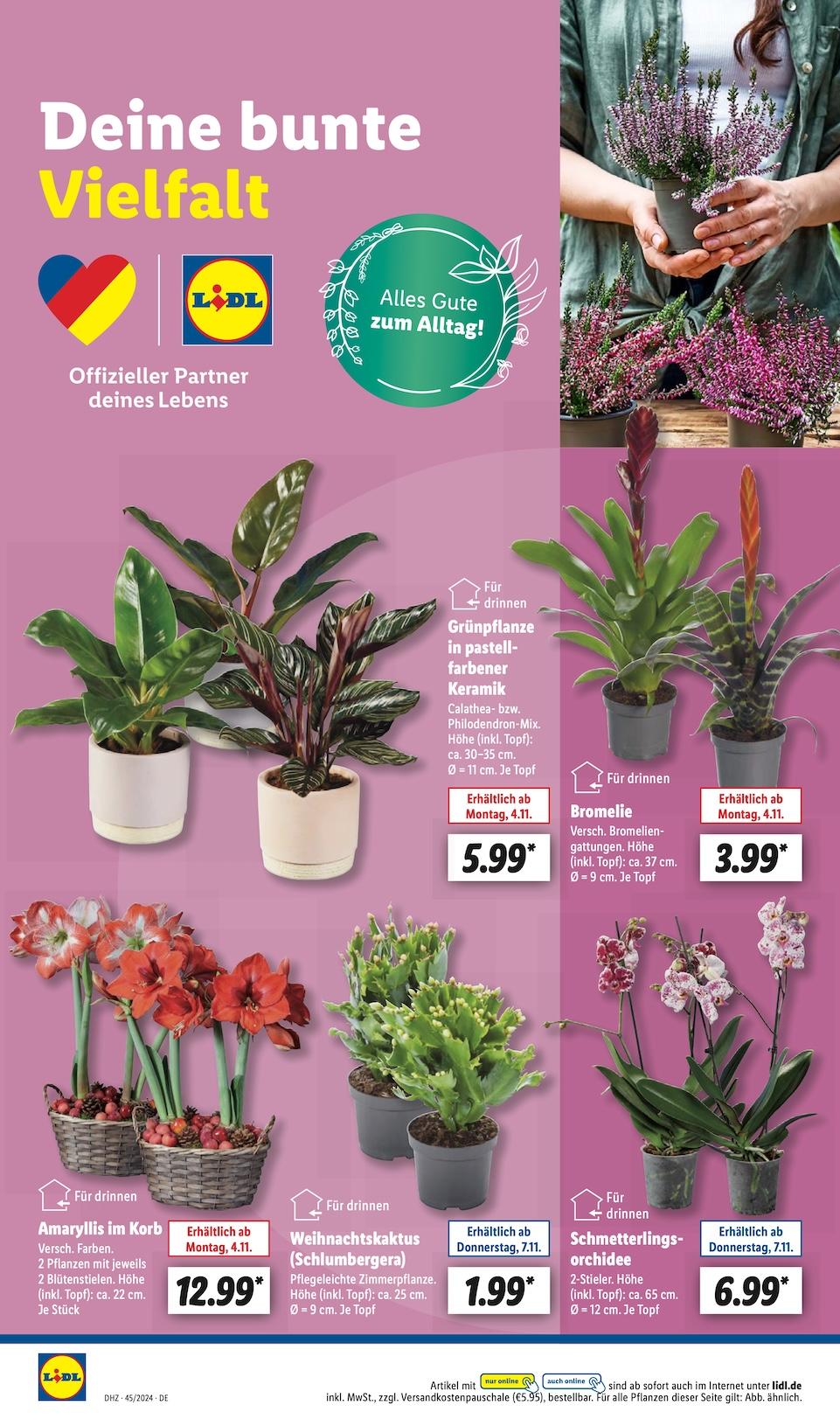 Lidl Aktueller Prospekt ab Montag Seite 24