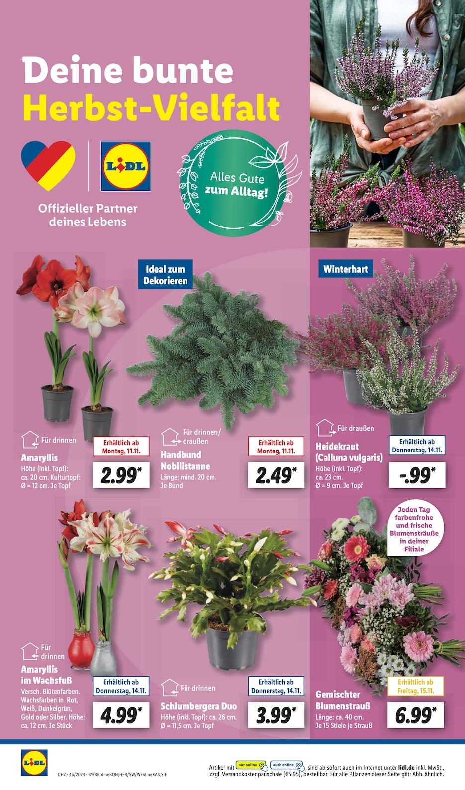 Lidl Aktueller Prospekt ab Montag Seite 24