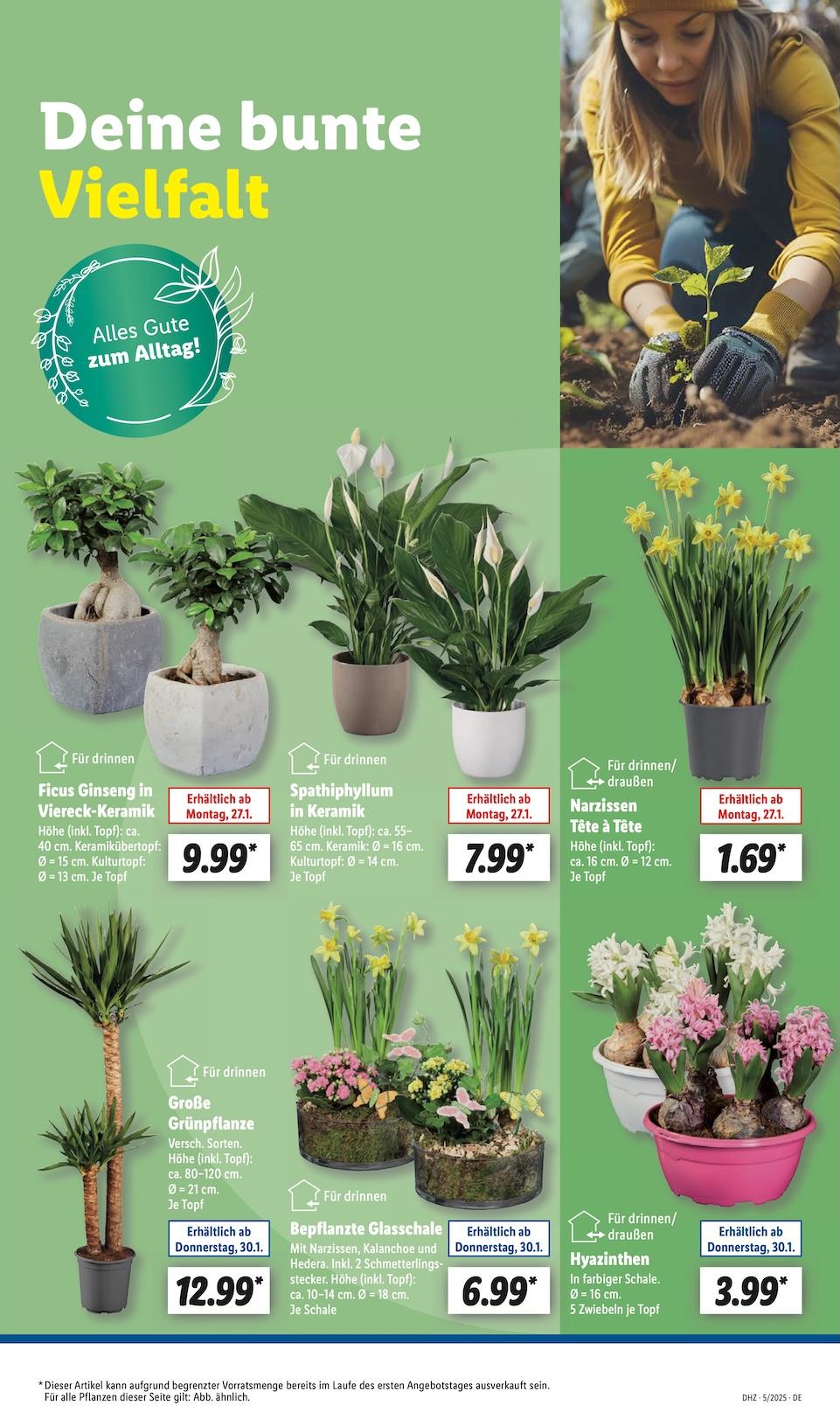 Lidl Aktueller Prospekt ab Montag Seite 5