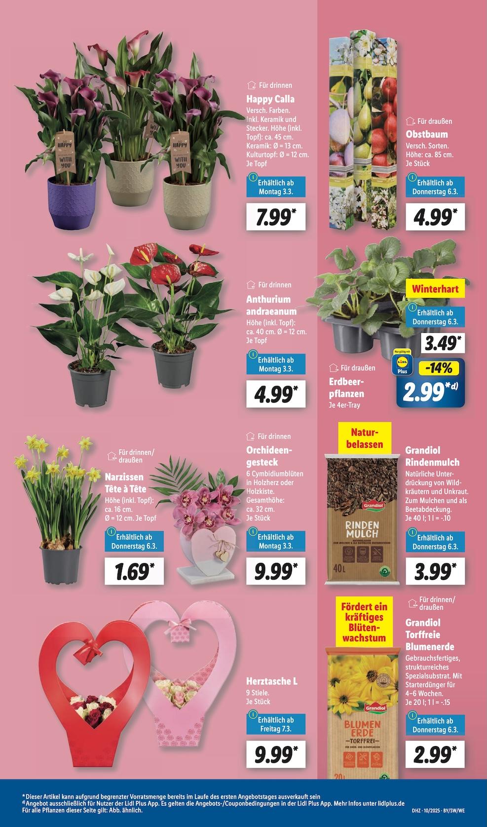 Lidl Aktueller Prospekt ab Montag Seite 17