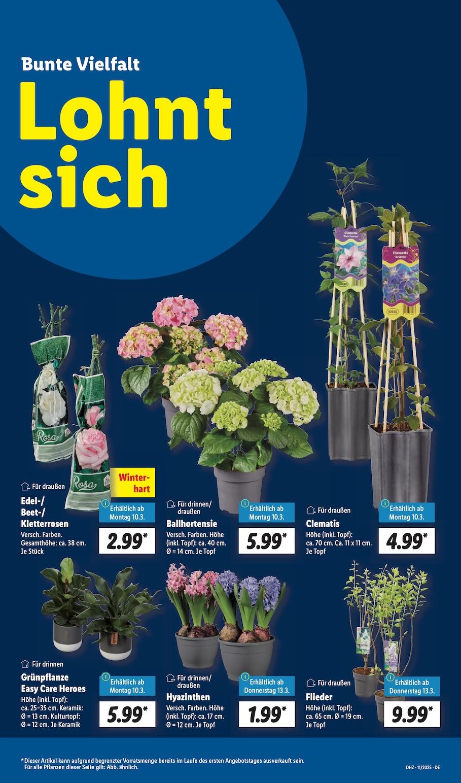 Lidl Aktueller Prospekt ab Montag Seite 11