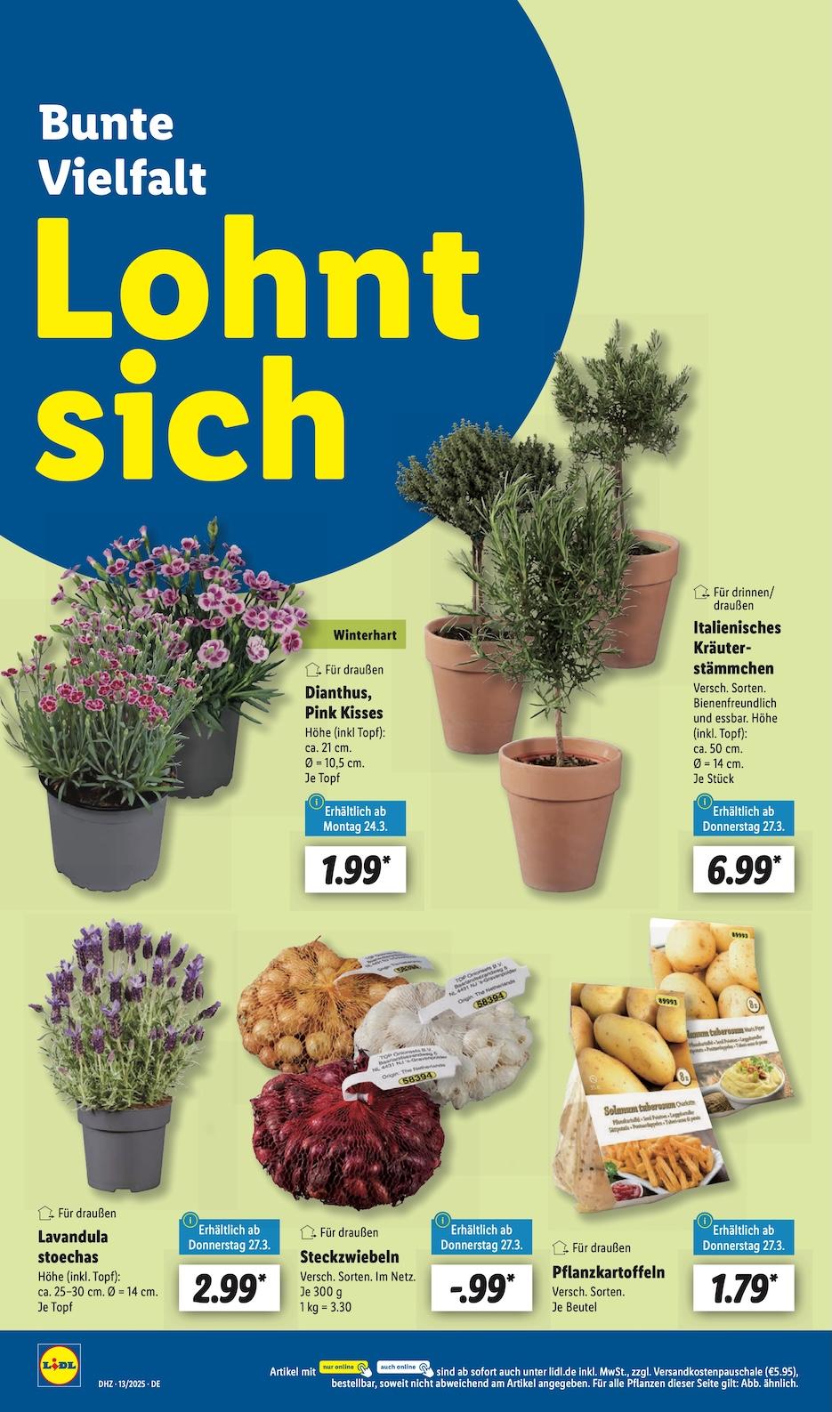 Lidl Aktueller Prospekt ab Montag Seite 46