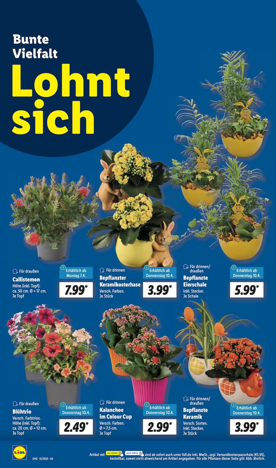 Lidl Aktueller Prospekt ab Montag Seite 4