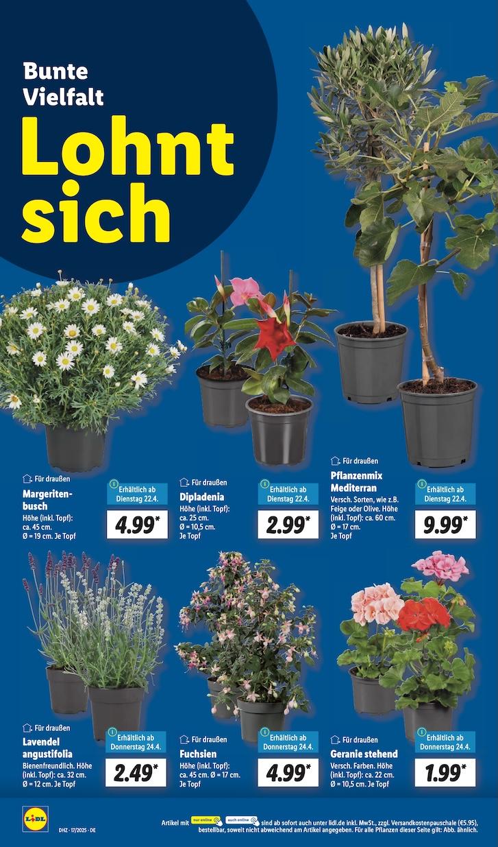 Lidl Aktueller Prospekt ab Dienstag Seite 6