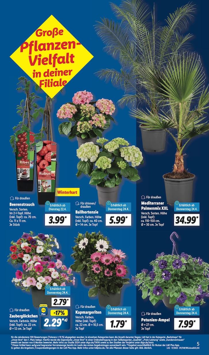 Lidl Aktueller Prospekt ab Dienstag Seite 7