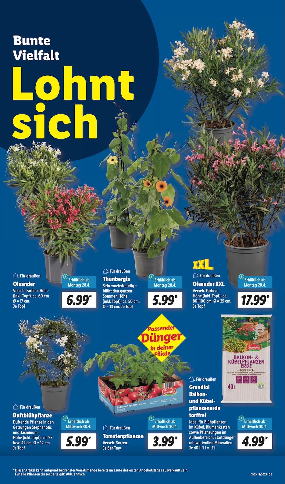Lidl Aktueller Prospekt ab Montag Seite 5