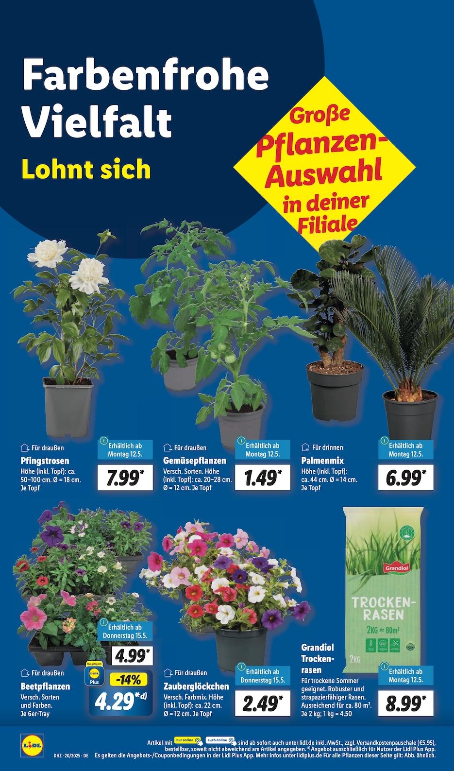 Lidl Aktueller Prospekt ab Montag Seite 14