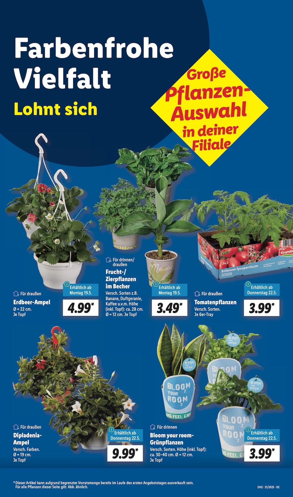 Lidl Aktueller Prospekt ab Montag Seite 5