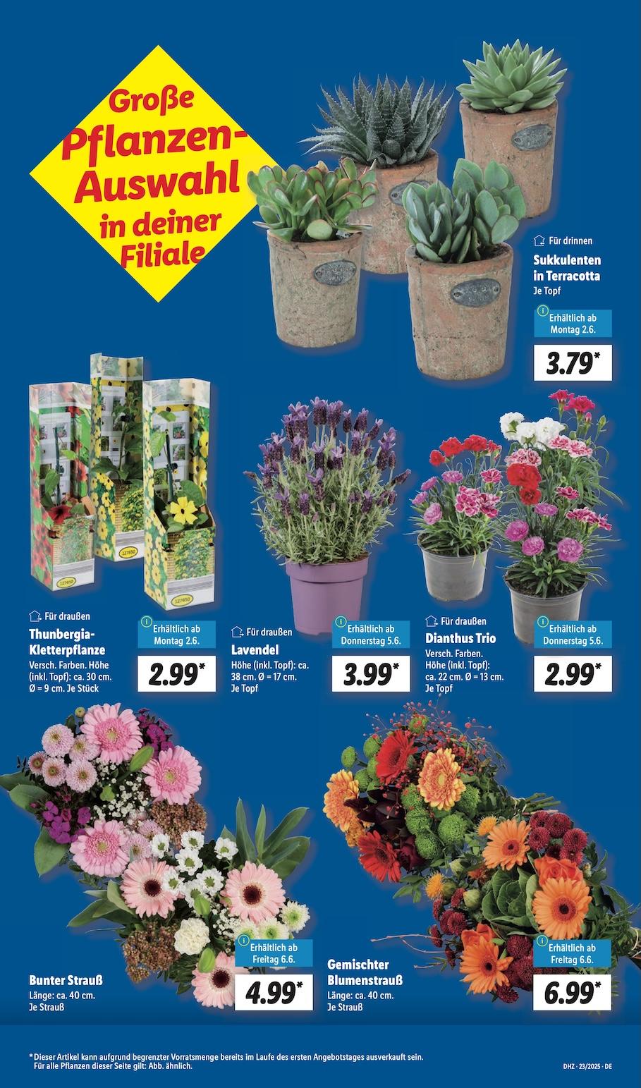 Lidl Aktueller Prospekt ab Montag Seite 7