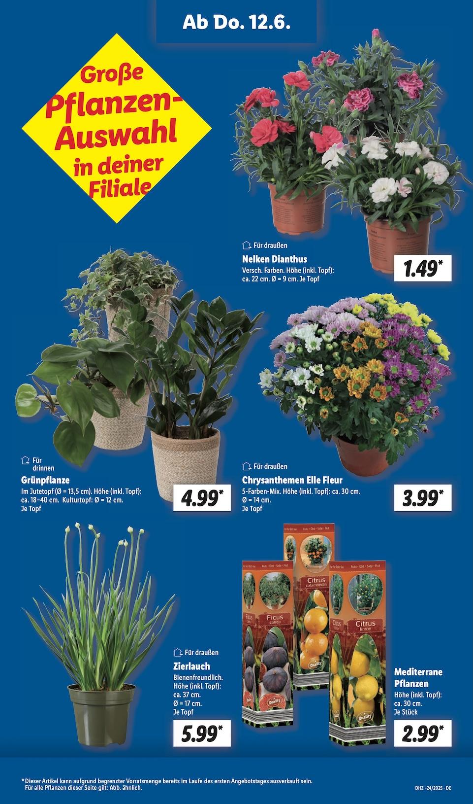 Lidl Aktueller Prospekt ab Dienstag Seite 9