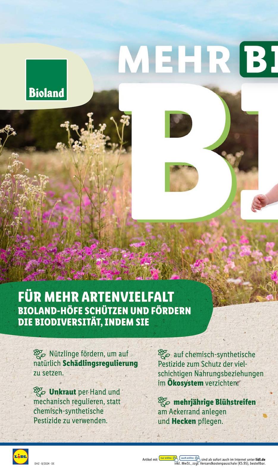 Lidl Aktueller Prospekt ab Montag Seite 16