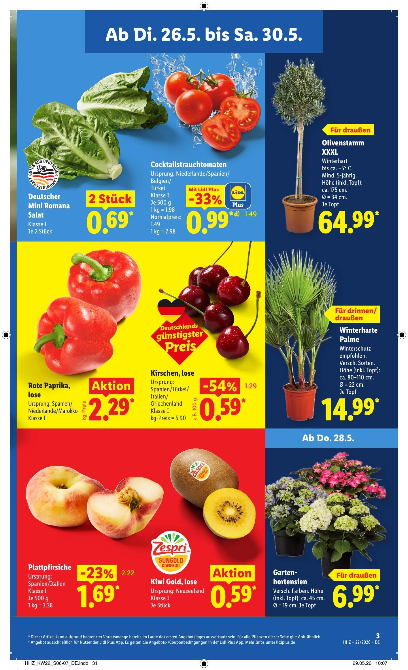 Lidl Aktueller Prospekt ab Dienstag Seite 5