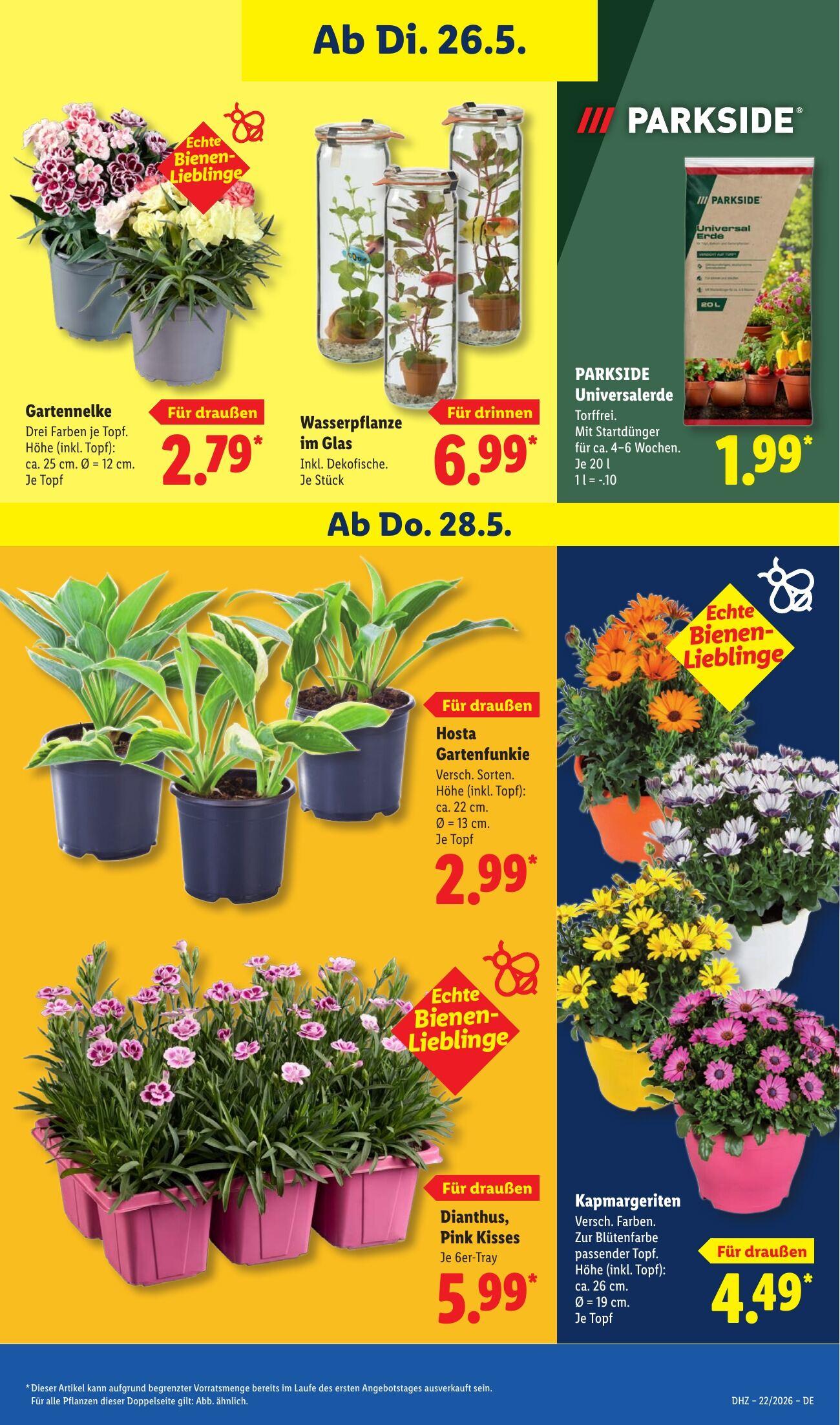 Lidl Aktueller Prospekt ab Dienstag Seite 69