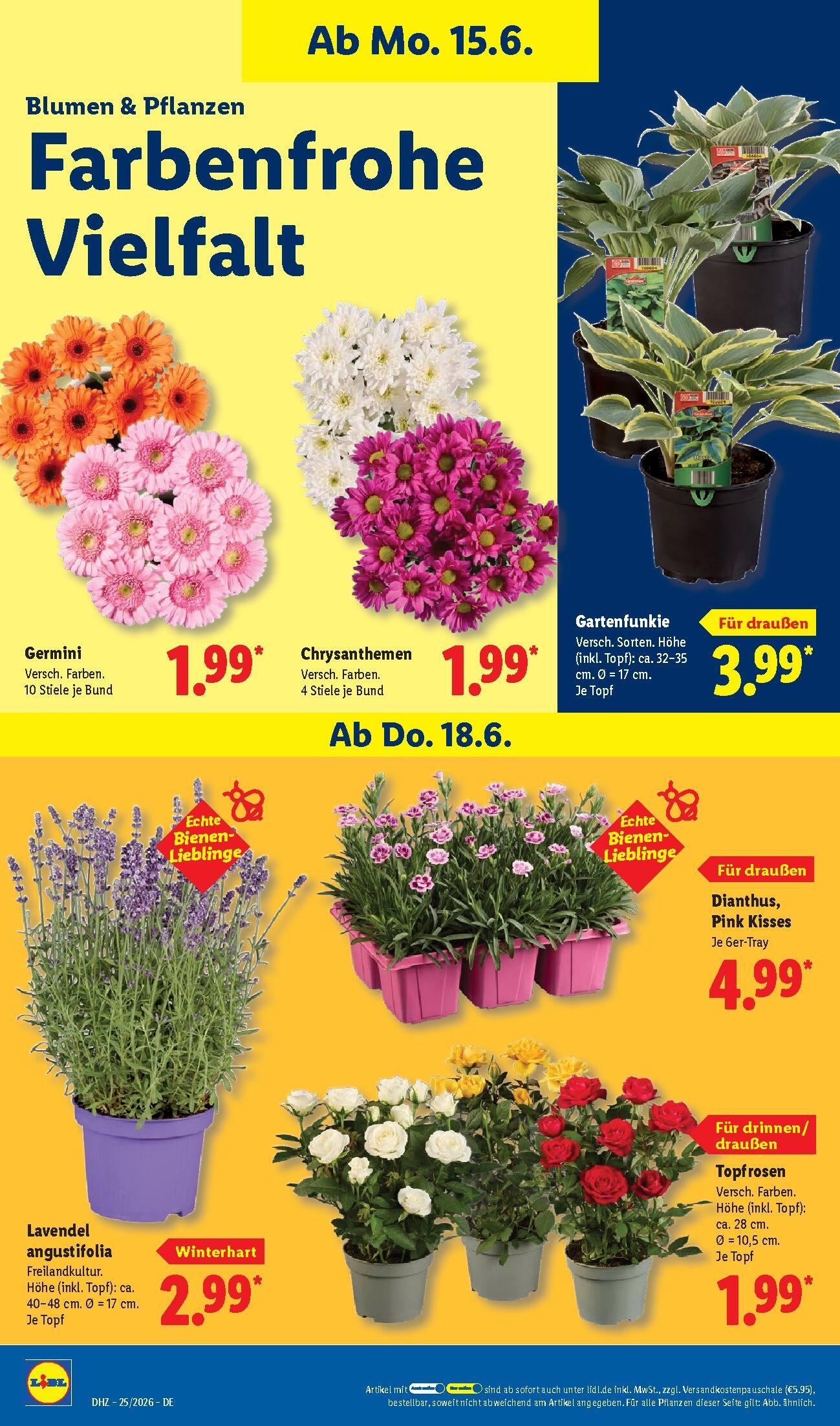 Lidl Aktueller Prospekt ab Montag Seite 70
