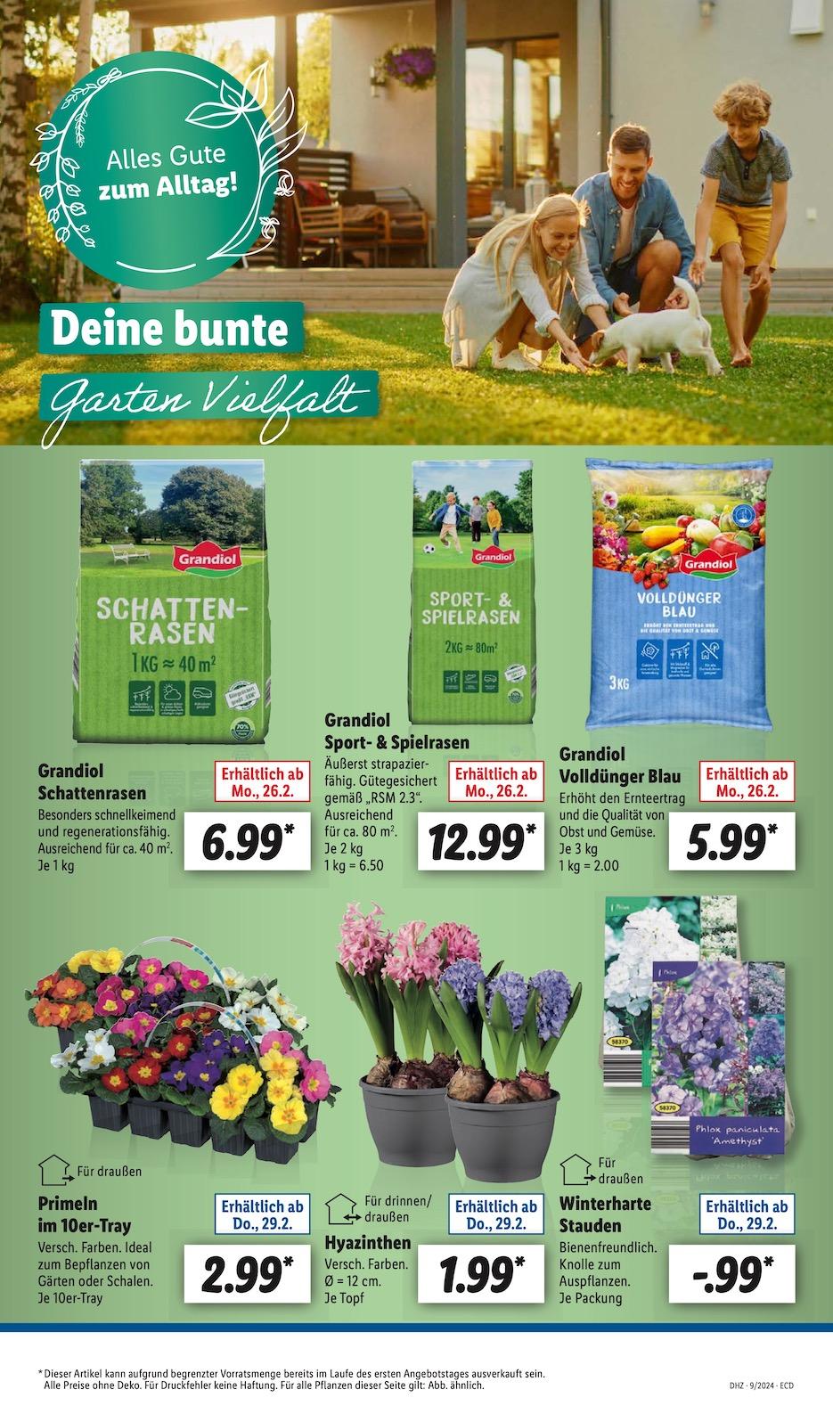 Lidl Aktueller Prospekt ab Montag Seite 7