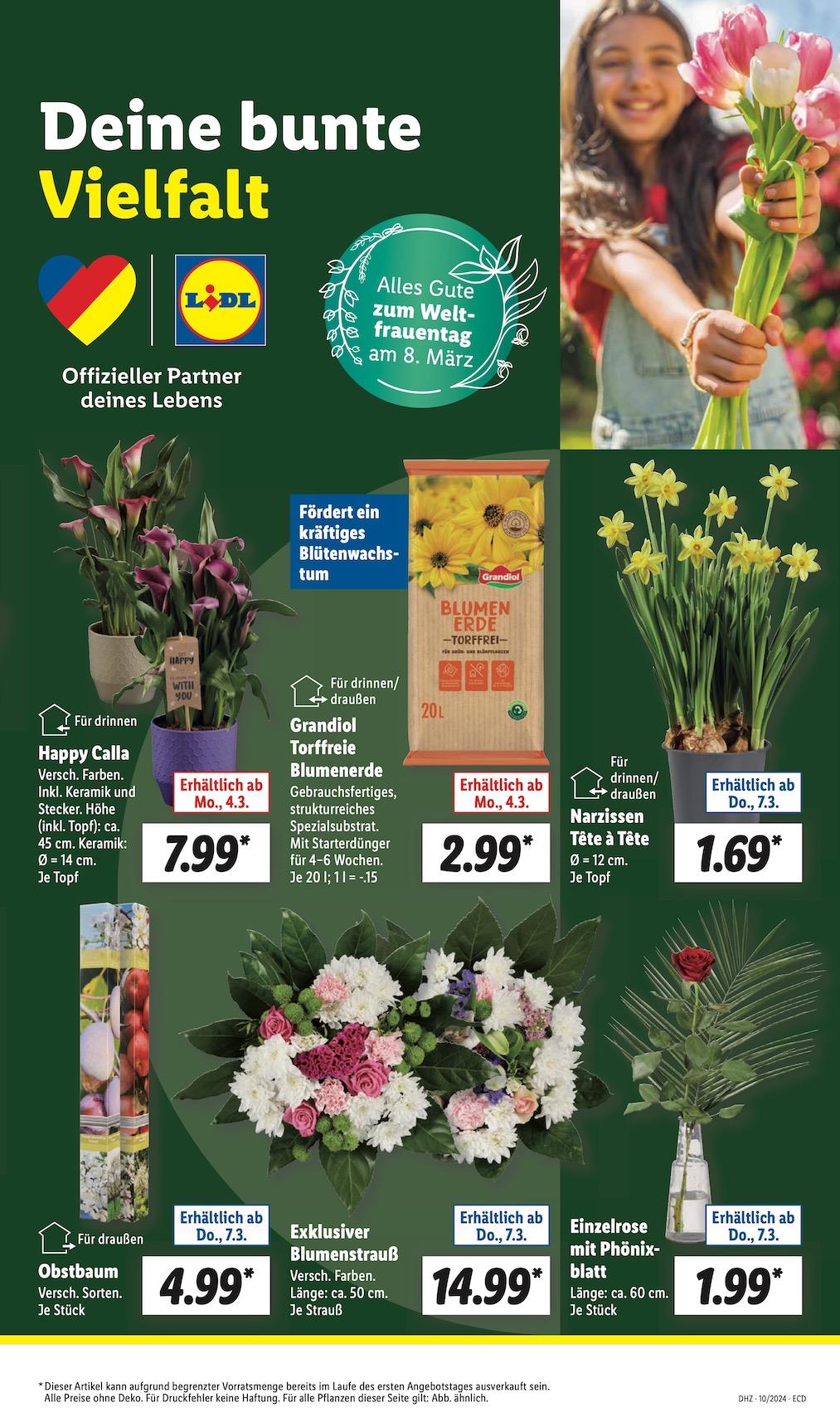 Lidl Aktueller Prospekt ab Montag Seite 7