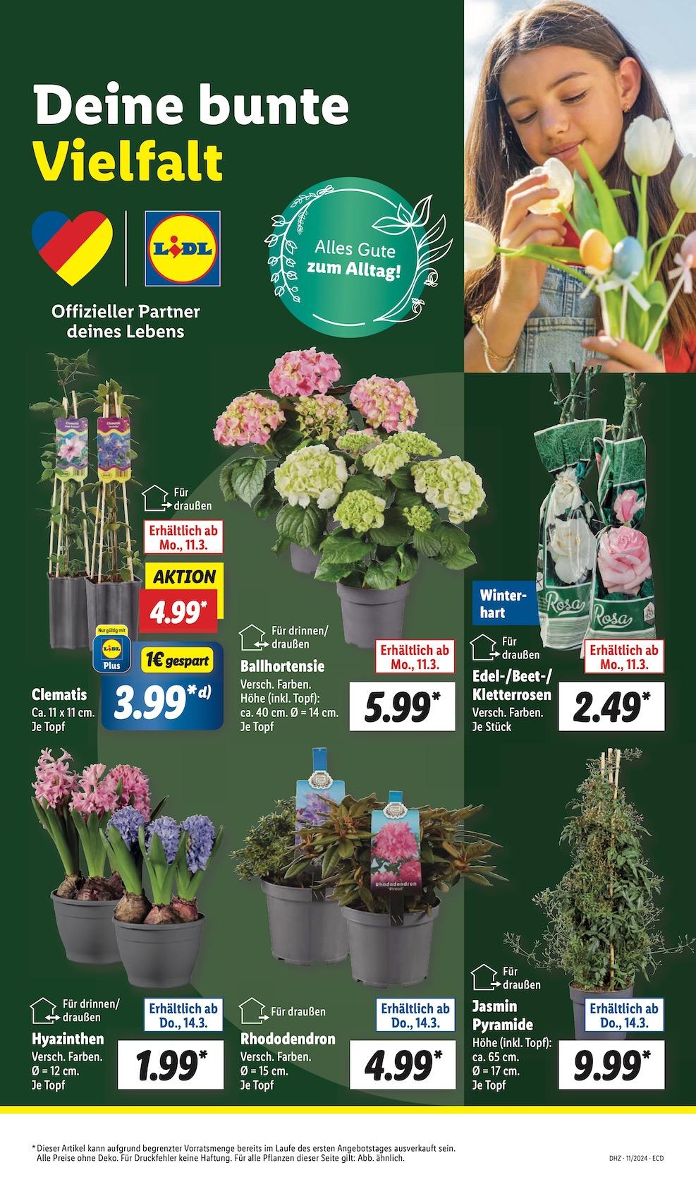 Lidl Aktueller Prospekt ab Montag Seite 7