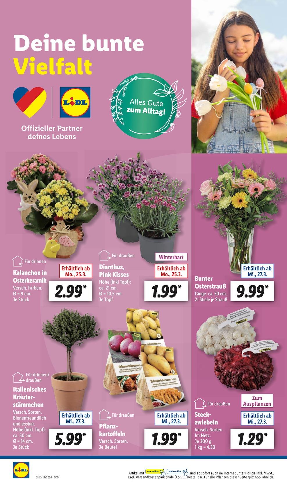 Lidl Aktueller Prospekt ab Montag Seite 58