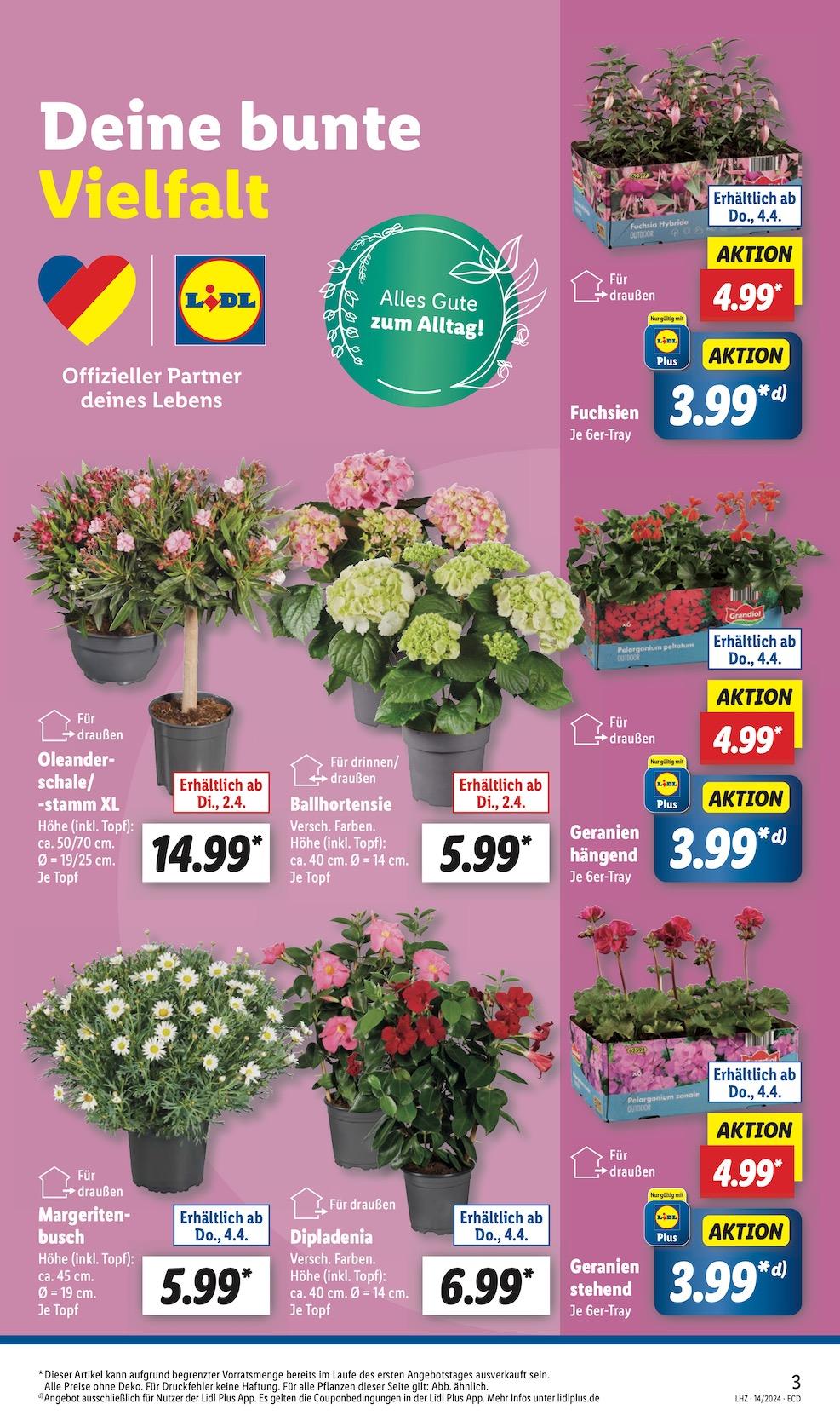 Lidl Aktueller Prospekt ab Dienstag Seite 3