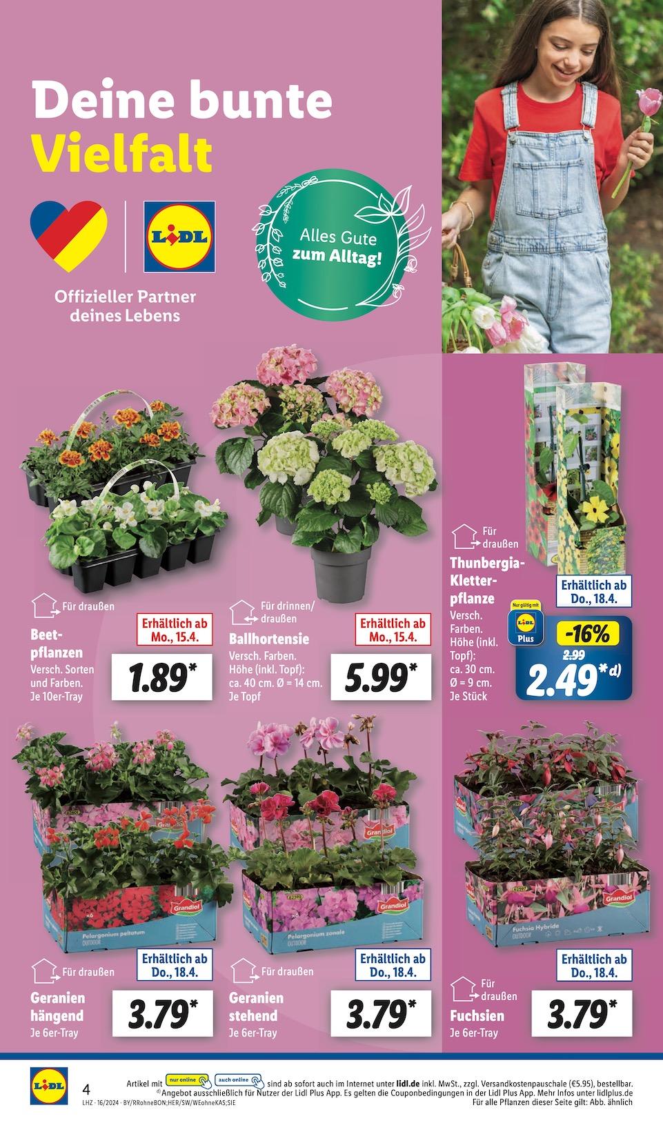 Lidl Aktueller Prospekt ab Montag Seite 8