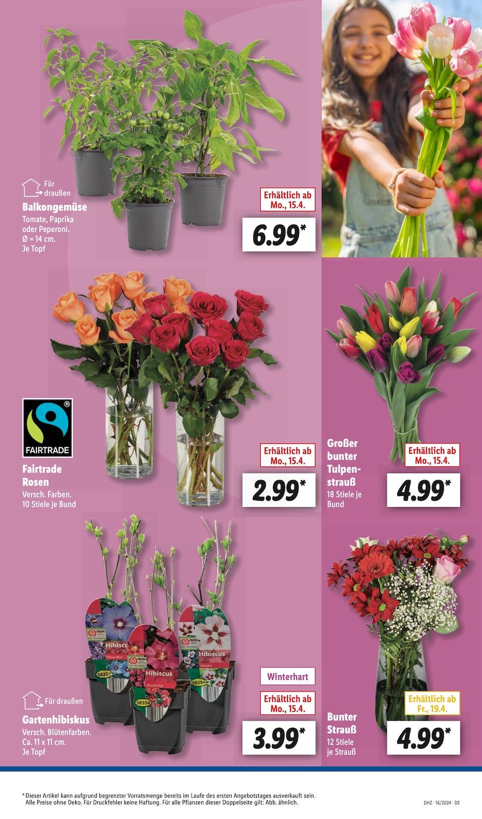 Lidl Aktueller Prospekt ab Montag Seite 9