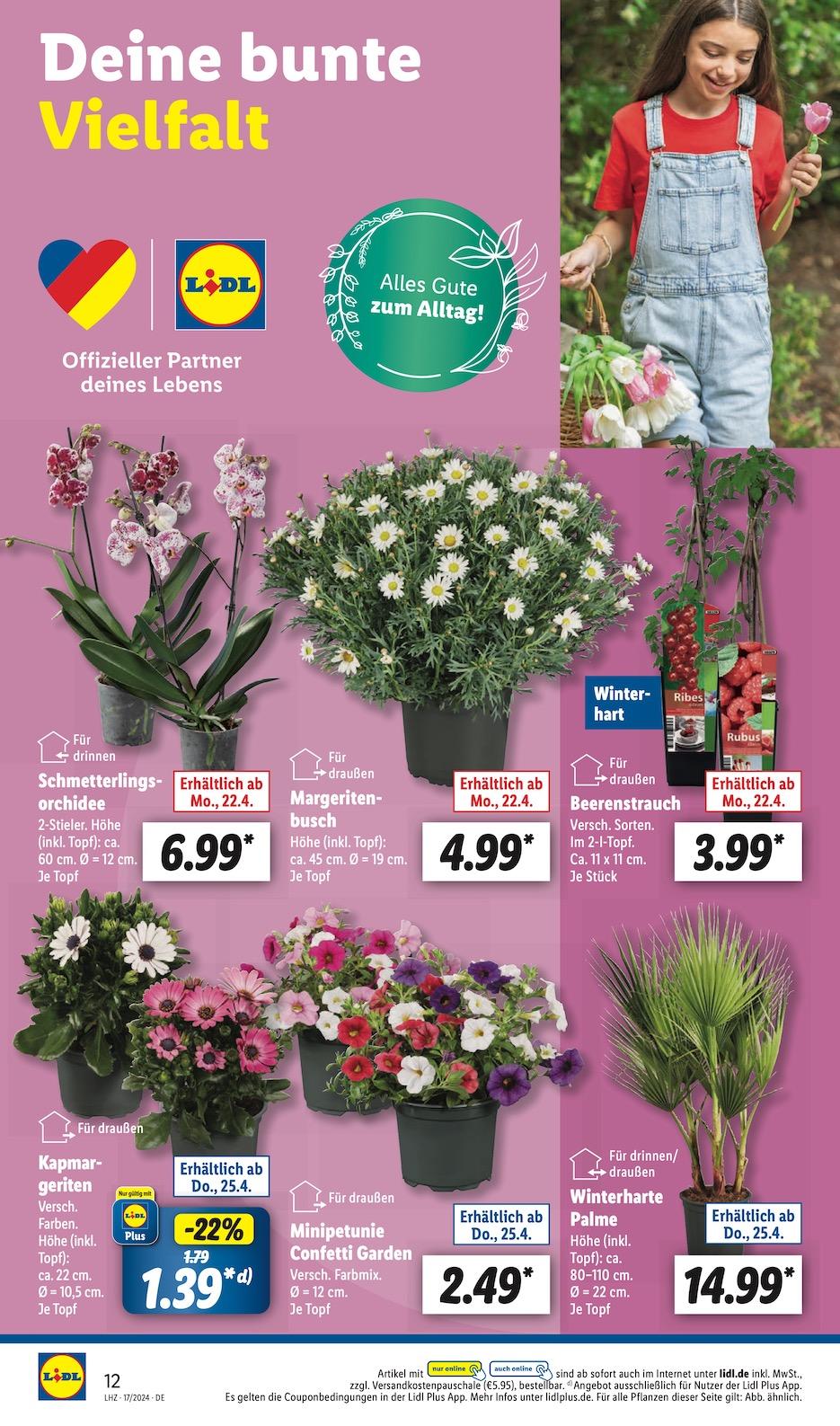 Lidl Aktueller Prospekt ab Montag Seite 4