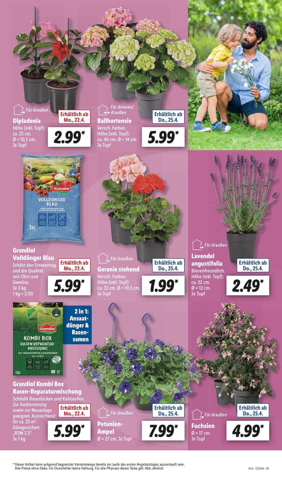 Lidl Aktueller Prospekt ab Montag Seite 5