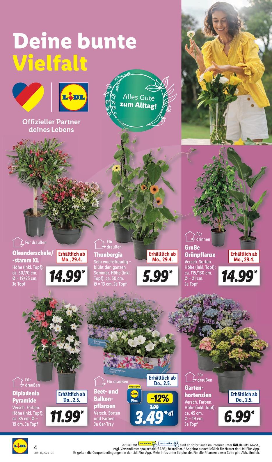 Lidl Aktueller Prospekt ab Montag Seite 4