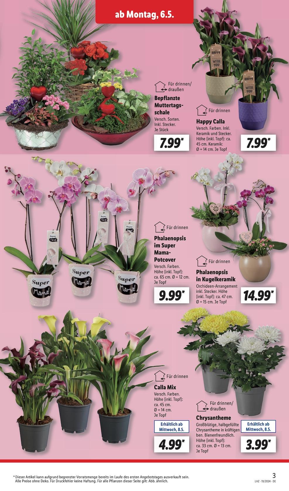 Lidl Aktueller Prospekt ab Montag Seite 3