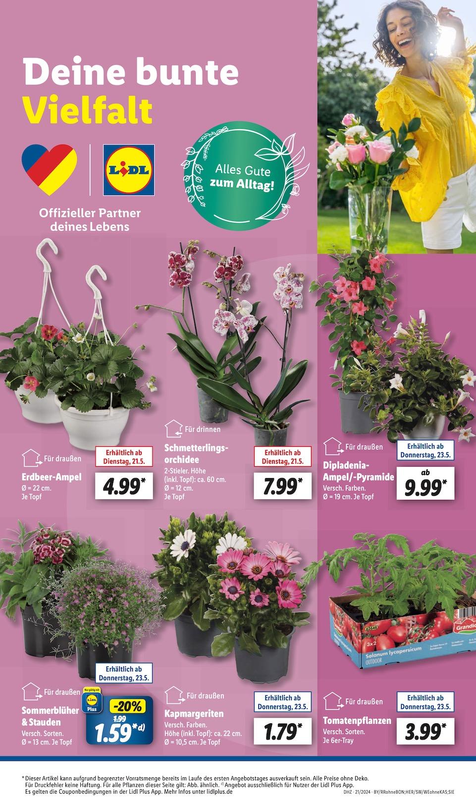 Lidl Aktueller Prospekt ab Dienstag Seite 9