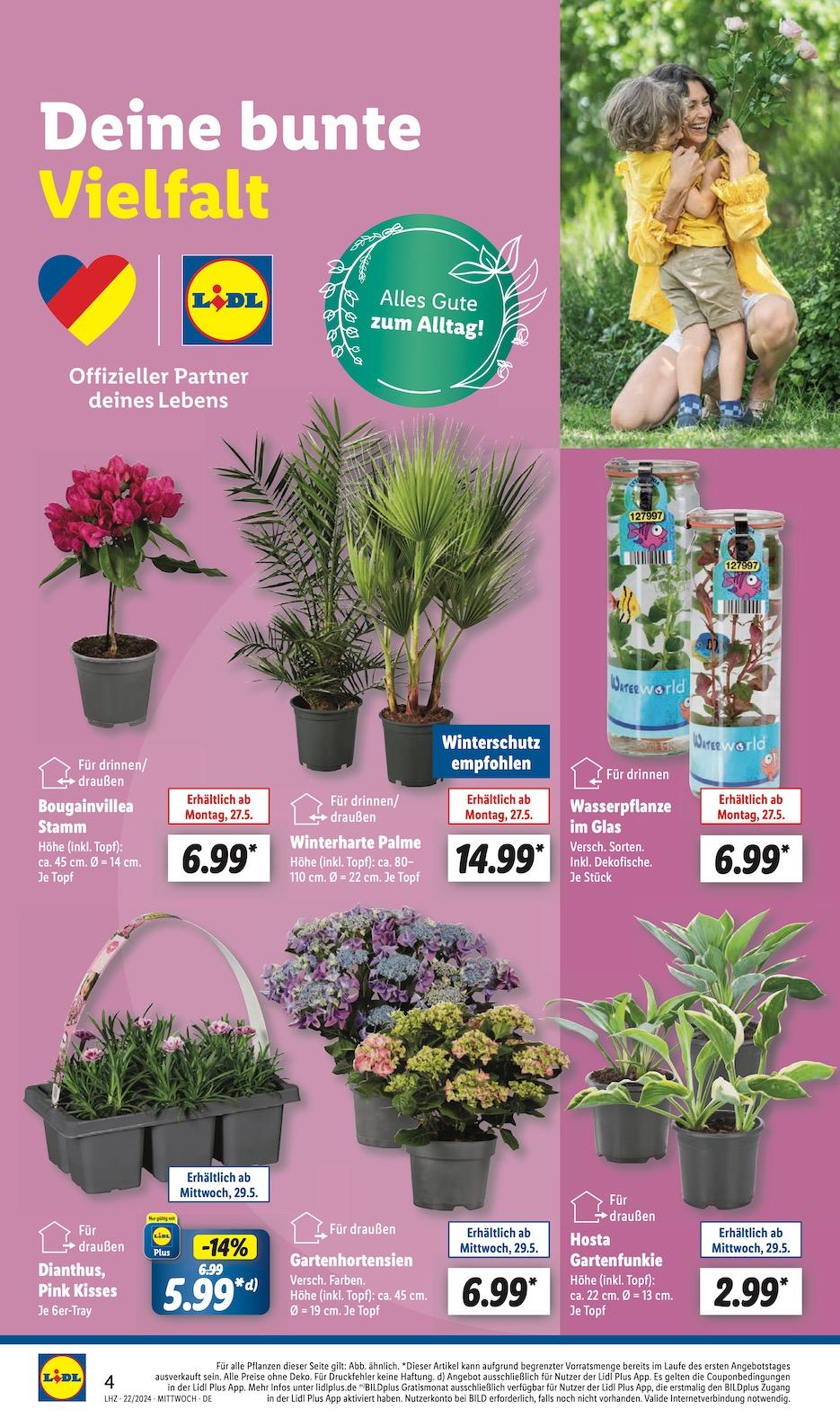 Lidl Aktueller Prospekt ab Montag Seite 4