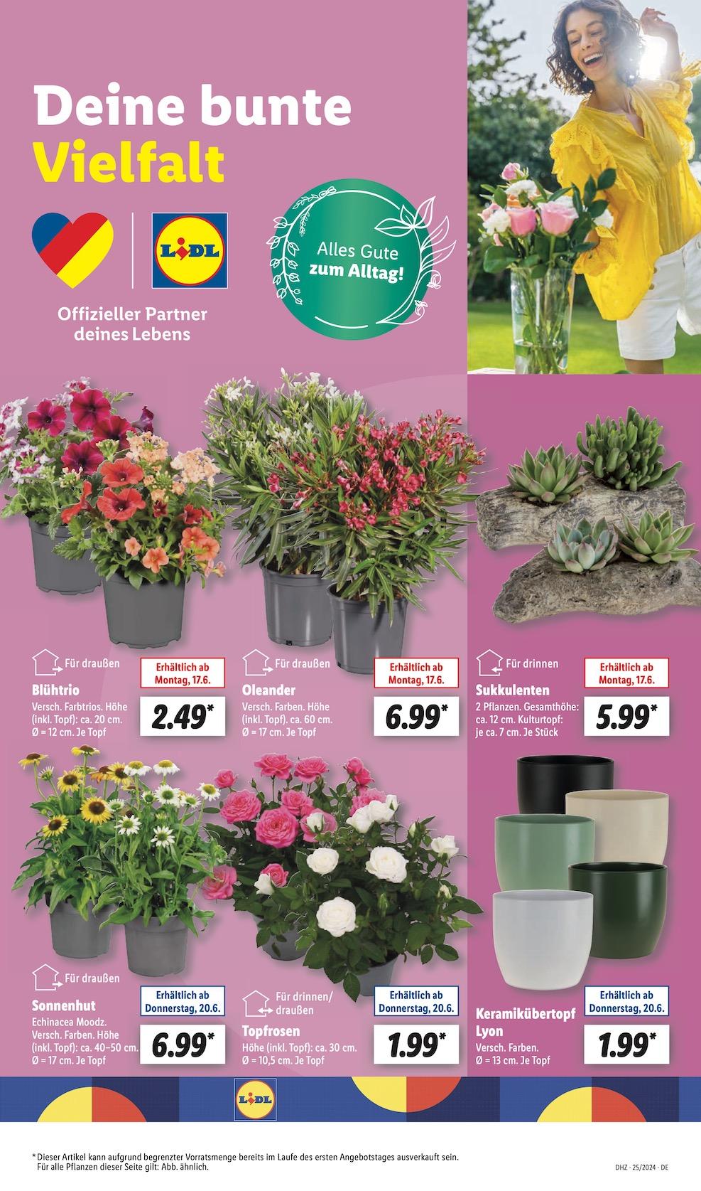 Lidl Aktueller Prospekt ab Montag Seite 5