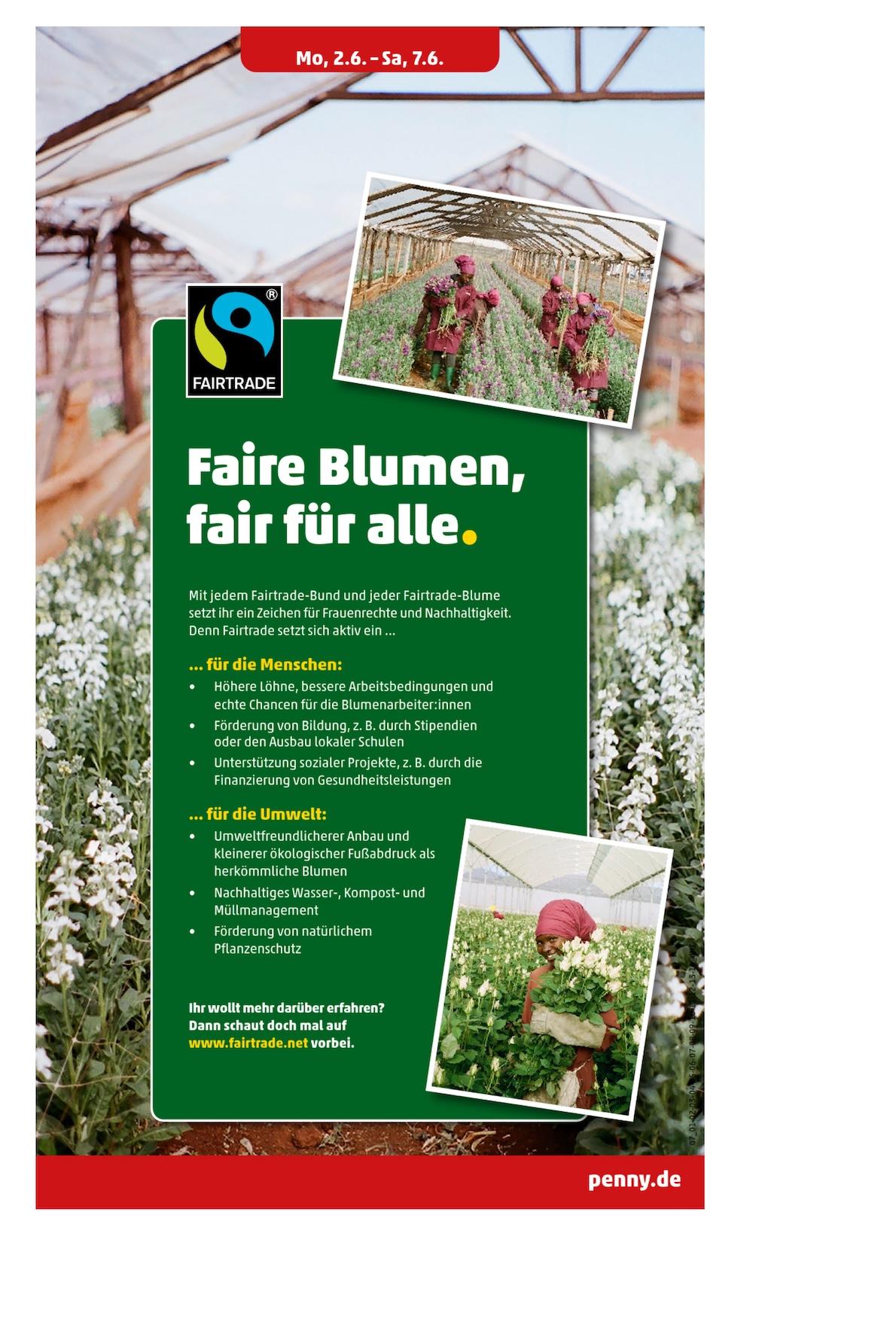 Penny Aktueller Prospekt ab Montag Seite 9