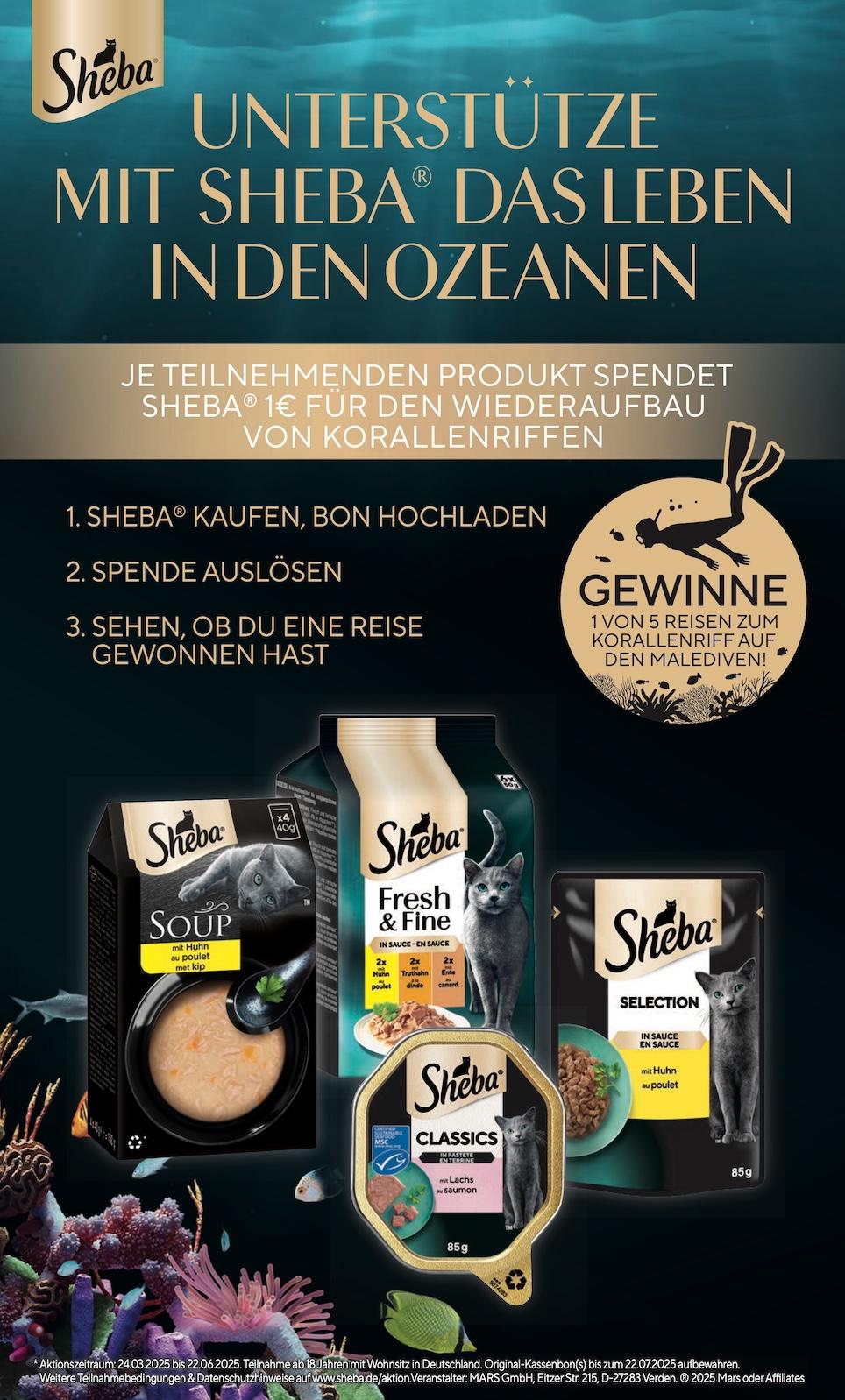 Famila Aktueller Prospekt ab Montag Seite 31