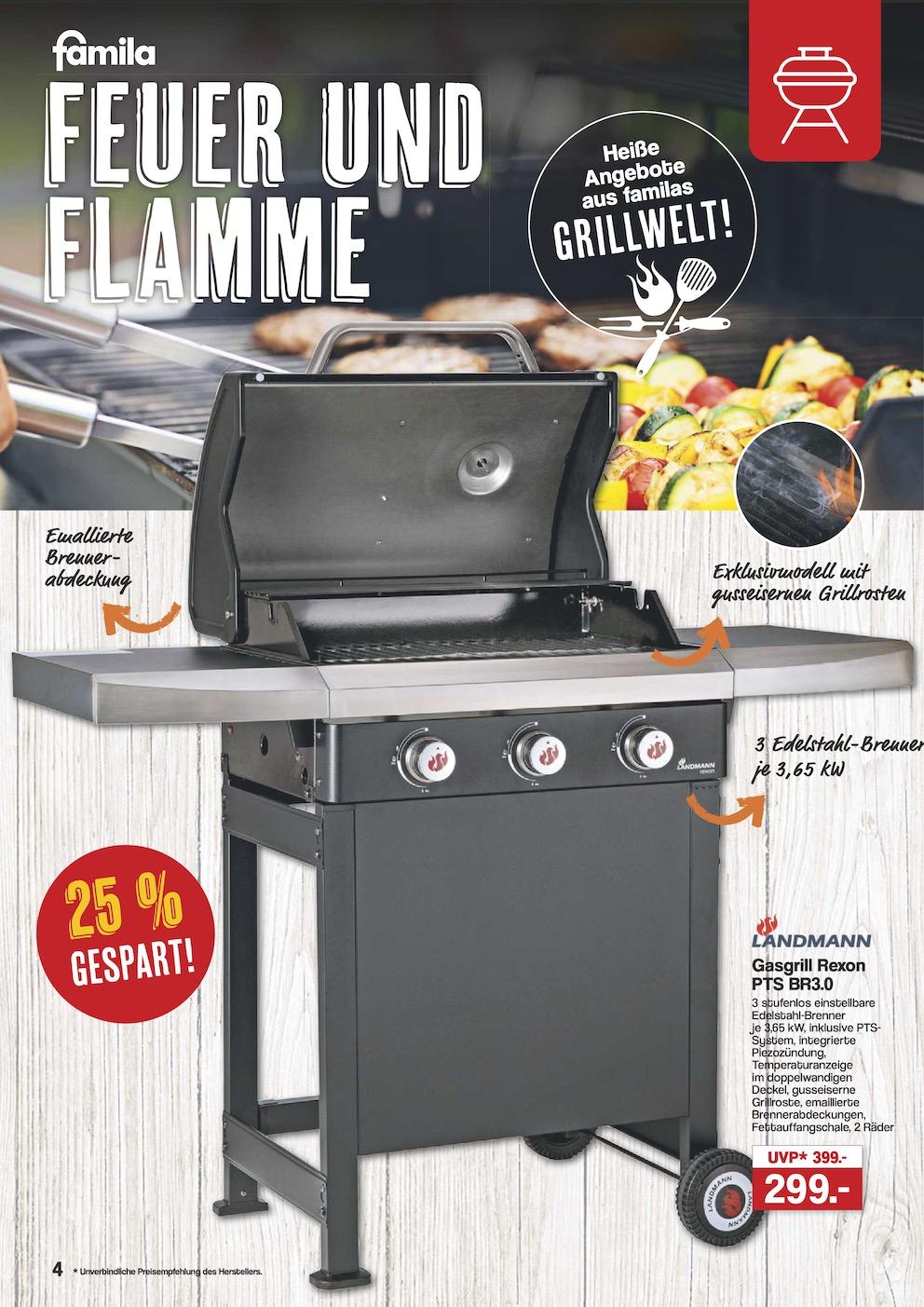 Famila Mega-Angebote Seite 4