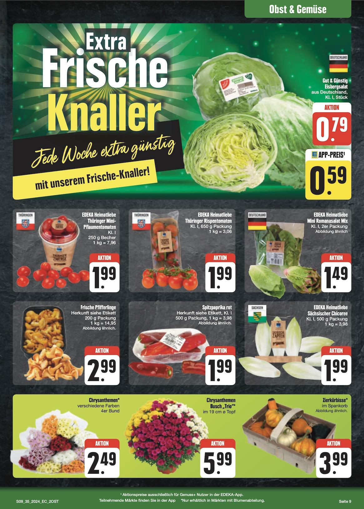 Edeka Prospekt ab Montag - Sachsen Seite 9