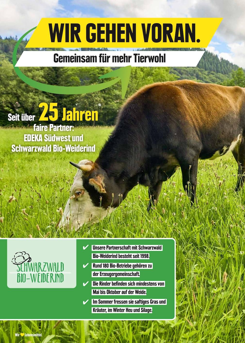 Edeka Prospekt ab Montag - Rheinland - Pfalz Seite 8