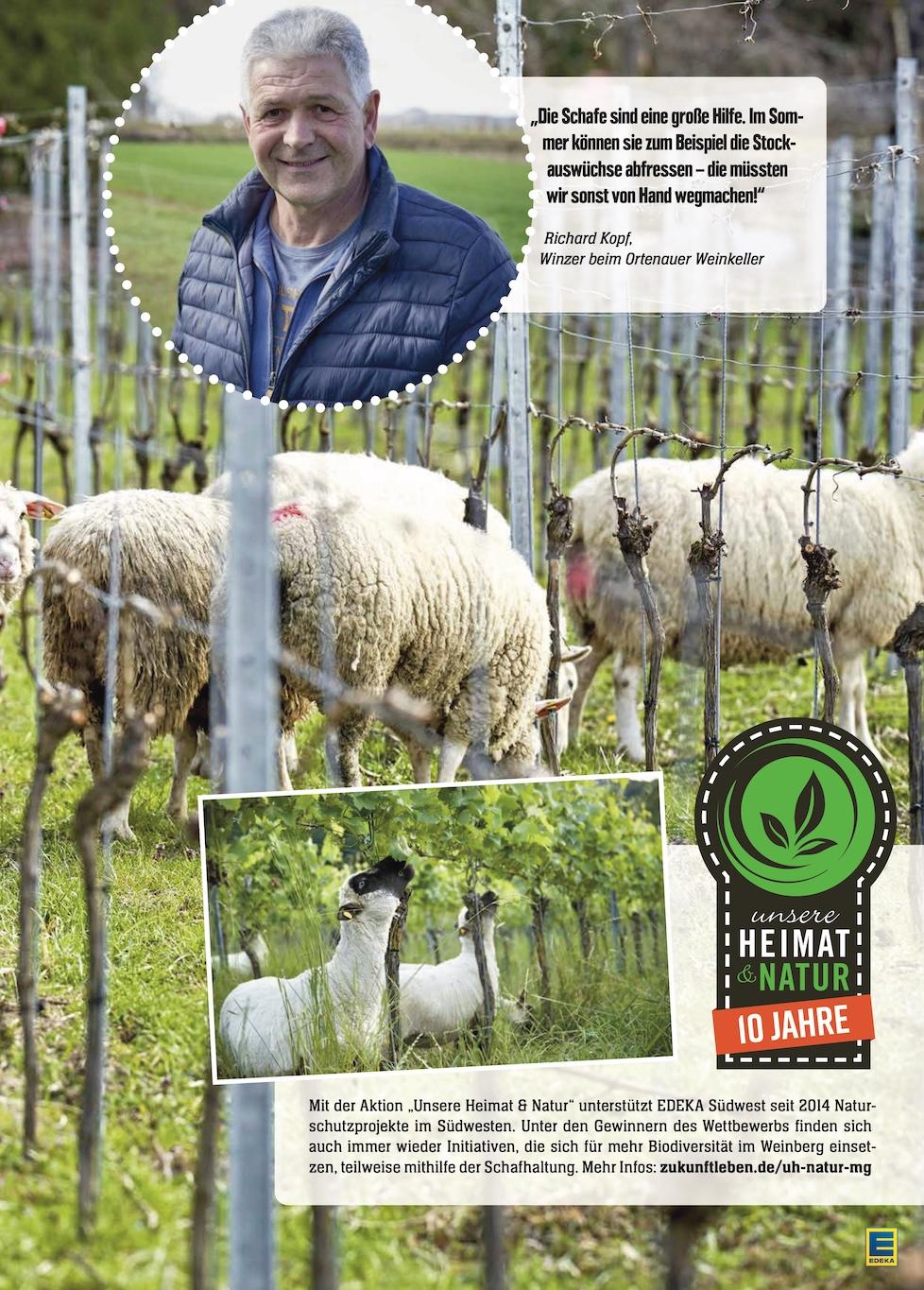 Edeka Prospekt ab Montag - Rheinland - Pfalz Seite 3
