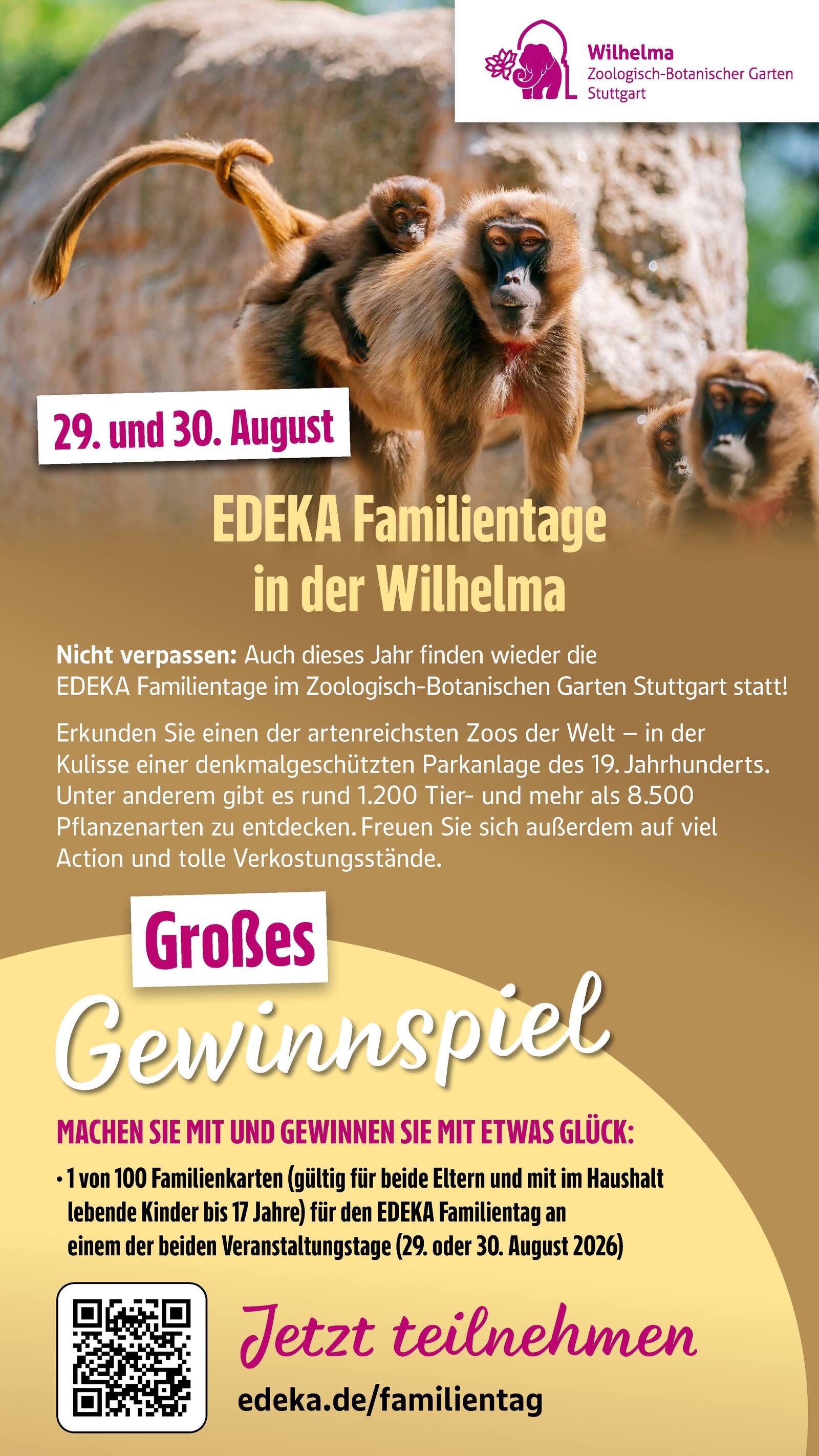 Edeka Prospekt ab Montag - Hessen Seite 45