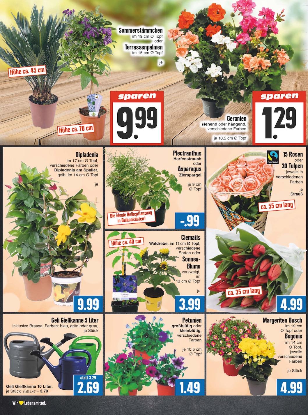 Edeka Prospekt ab Montag - Thüringen Seite 6